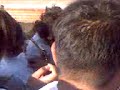 convivencia
