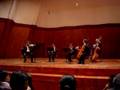 Melancolía Danzón A. Fonseca Miquel