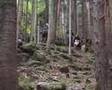 Arminius Trailer