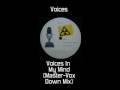 Voices - Voices In My Mind (Master-Vox Down Mix) (Masters at Work)