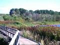 videos de Der Priwall im Süden Naturschutz Südlicher Priwall bei Travemünde Ostsee