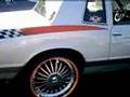 BOW-TIE-CAR-CLUB-FLO