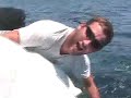 Blue Marlin