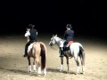 Dressage vs. Reining - RAWF 2009