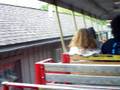 Tech at The Zoo