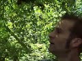 Exploring Kubota Garden