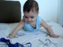 Gabirú barrigando