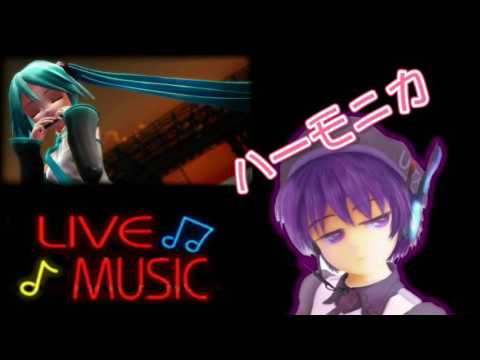 動画