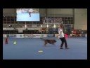 Dogdancing&Frisbee Freestyle Improvisation