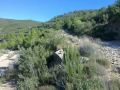 Mototrail Lliria, un dia cualquiera 08-11-09