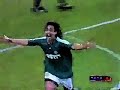 valdivia  do palmeiras