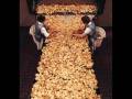 videos de Eatorganic.wmv