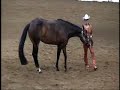 Radical Dark Chip 2000 AQHA Mare-Daughter of Radical Rodder