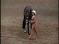 Radical Dark Chip 2000 AQHA Mare-Daughter of Radical Rodder