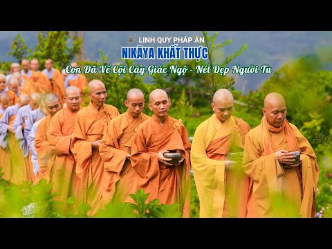 NIKAYA Khất Thực - Con Đã Về Cội Cây Giác Ngộ - Nét Đẹp Người Tu *
