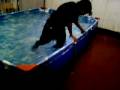 videos de al agua