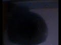 04Dasher shows you Lamboy