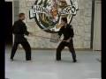 videos de Five Animal Kenpo Staff Techniques