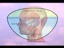 Posture and Headaches