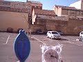 vid�o du ciel du gard