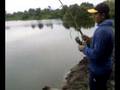 memancing tongsan 2.4kg di Ipoh