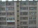 trotvlog: songyuan