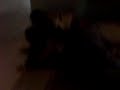 la pelea mas chafa la pelea mas chafa