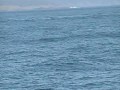 San Juan Islands - YouTube