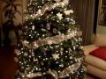 ChristmasTree2008_0001.wmv