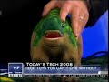 Pleo on the Today Show