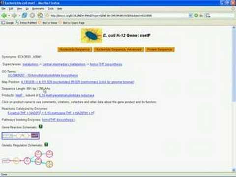Introduction to BioCyc Part 4B