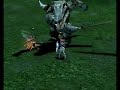 Lineage 2 RP female dwarves