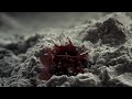 Trailer #1 (Saison 1)