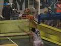 Diamantidis ultimate Block on Alex Acker !