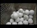 Bowling Ball History