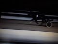 Horse Breaks Neck in Trotting Race Accident