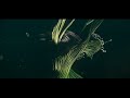 Onesize Reel 2010