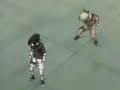No