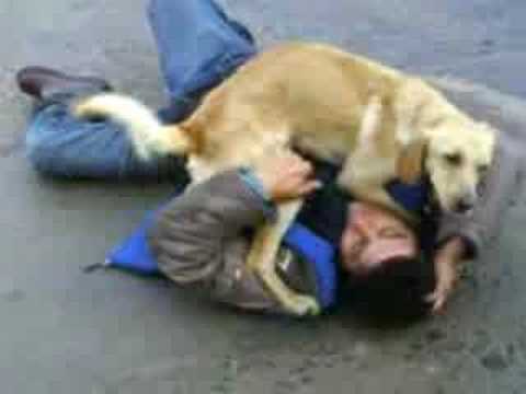 Perro y borracho