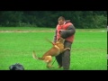 funniest-dog-agility-bloopers.html