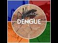 trabalho sobre a dengue   ec