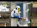 trabalho sobre a dengue   ec