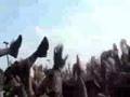 The Used w/ Simple Plan - LIVE - 2003 Warped Tour - PRH