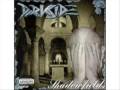 videos de darkside shadowfields