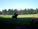 SHELLEY - xc at great westwood SHELLEY - xc at great westwood