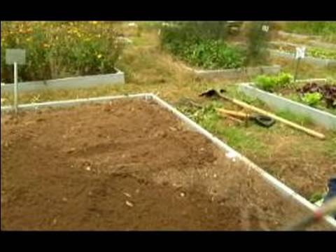 Garden tips - Learn how to start and maintain a garden in this free gardening video. Expert: Tia Pinney Bio: Tia Pinney is a Teacher Naturalist and Adult Program Coordinat...