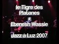 le tigre des platanes   etenesh wassie