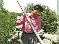 Chemistry in Action: The Potato Cannon