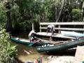 Canoe Ride on the Swamp - Part I