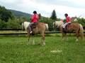 videos de Camp équestre